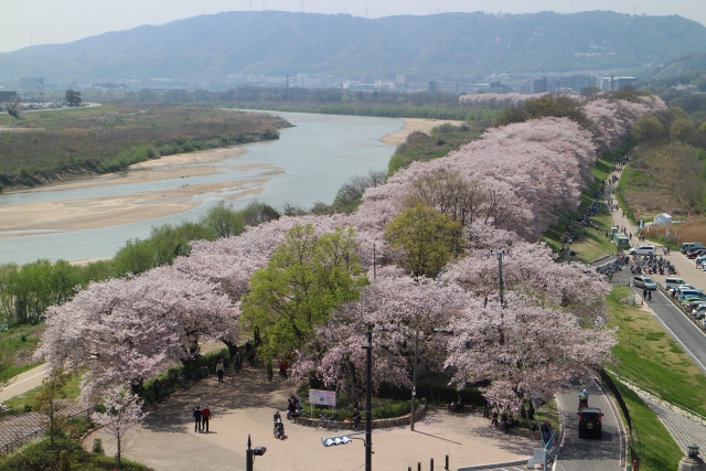 淀川河川公園全景